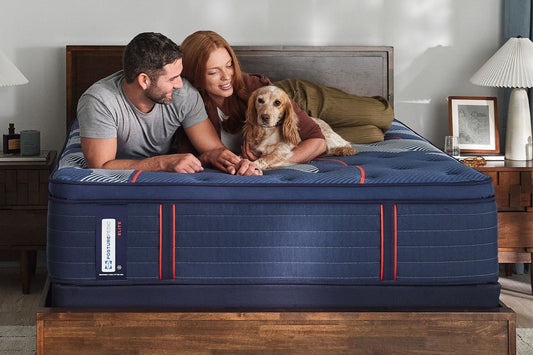 Sealy Brenham Soft Pillowtop 16" Mattress