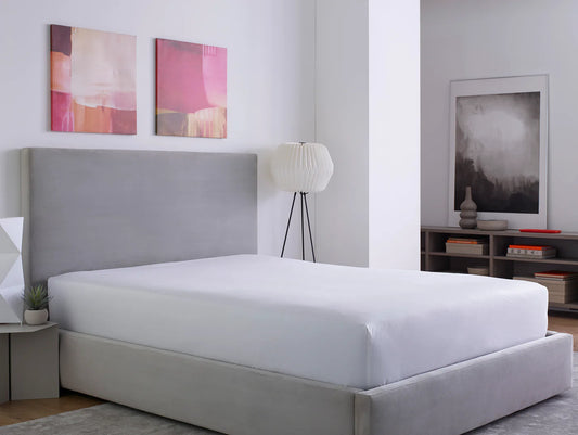SmartGuardĀ® Mattress Protector