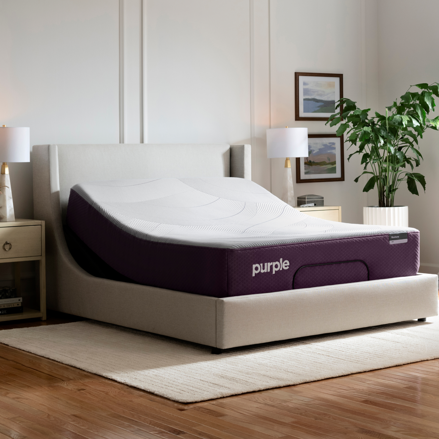 Purple Restore