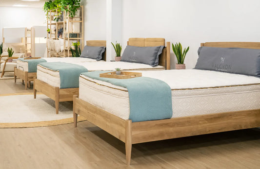 Best Organic Mattresses in Dallas: Is Avocado Worth It?