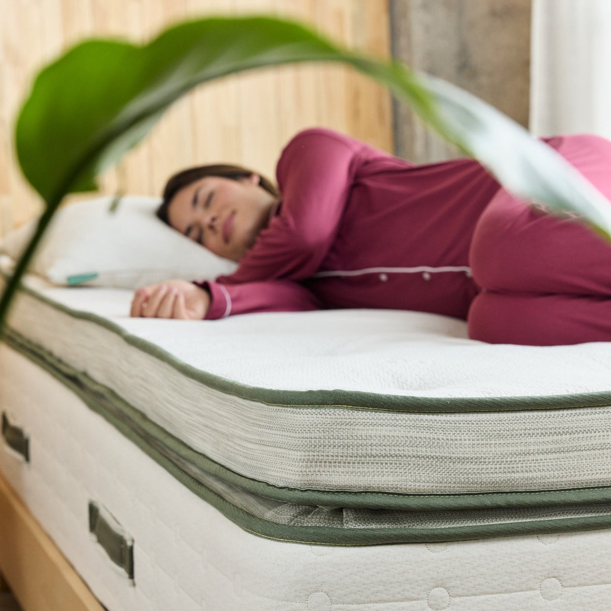 Avocado Green Ultra Plush Box Top Mattress