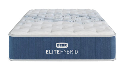 Bear Elite Hybrid