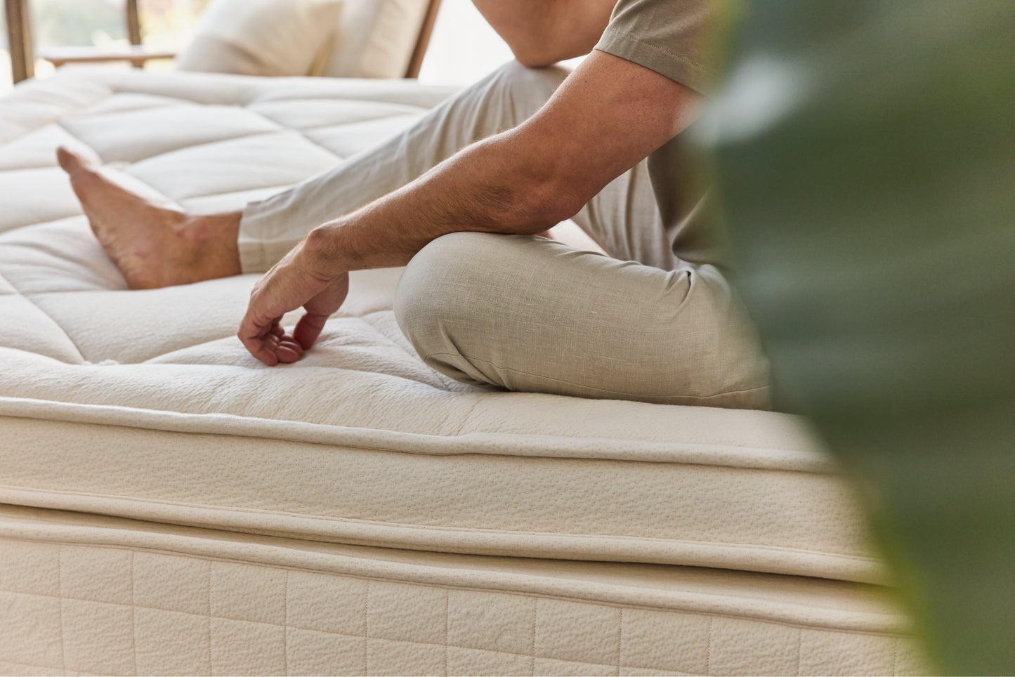 Avocado Luxury Organic Box Top